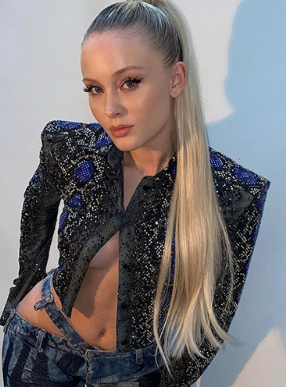 Platinablonde hoge ponytail